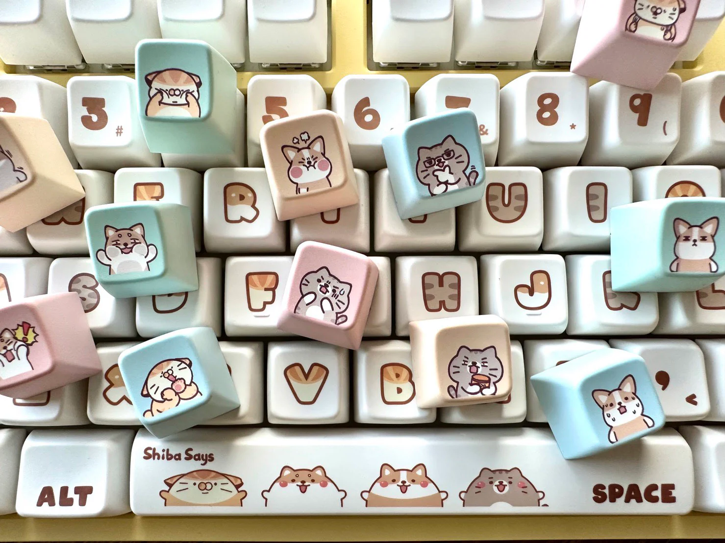 Thumbnail 15