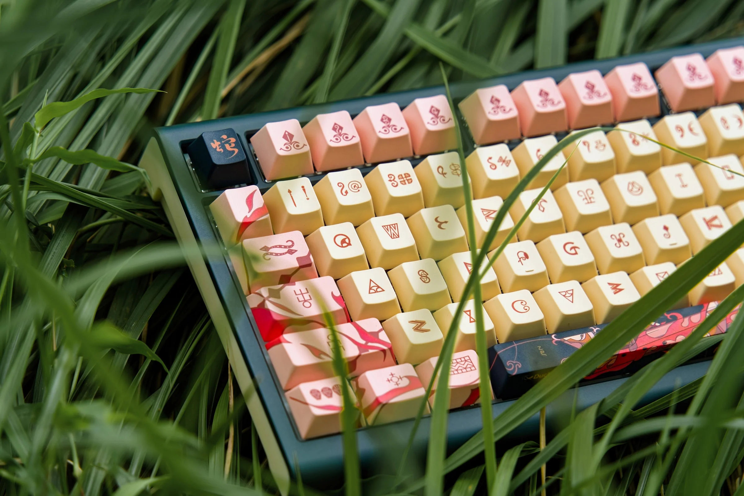 Thumbnail 8