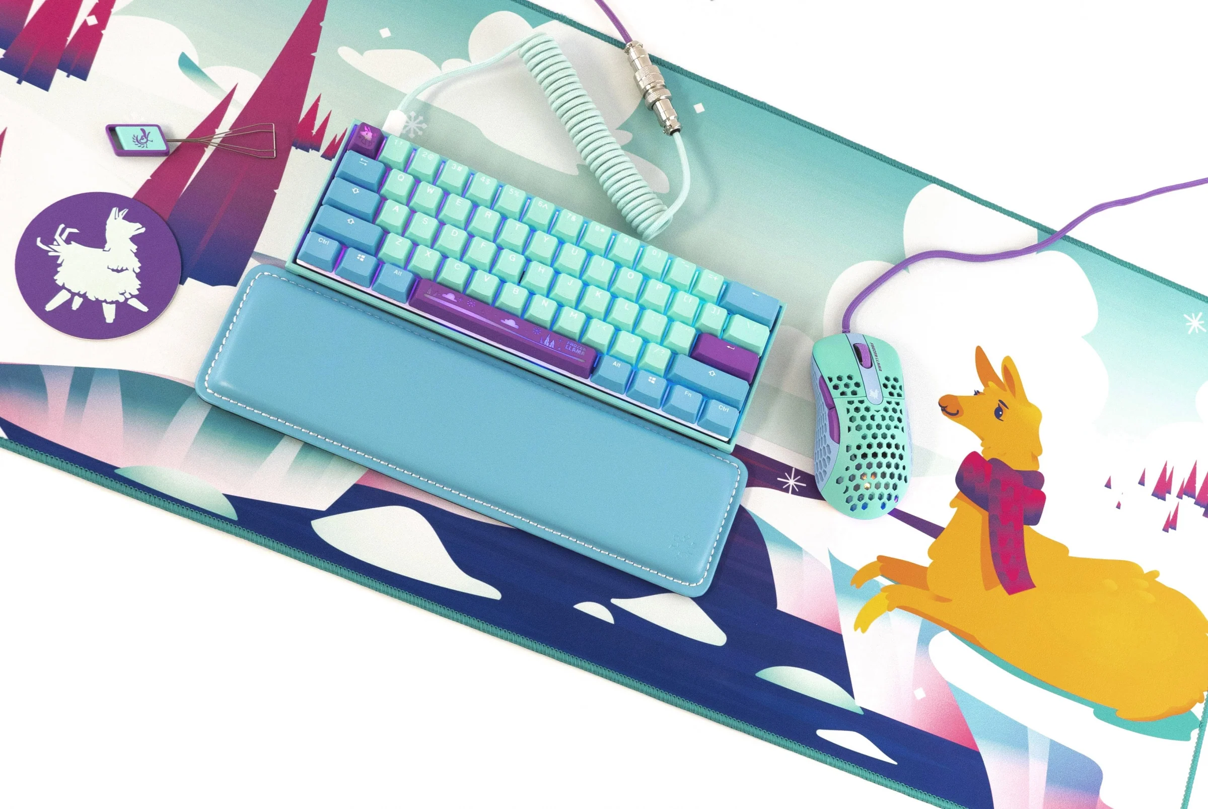 Thumbnail 15