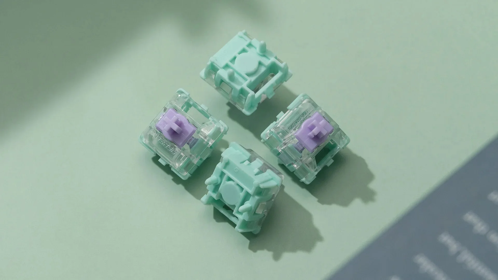 Thumbnail 12